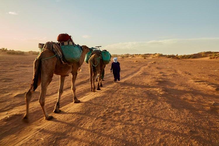 Отель Sahara Camp Adrouine Экстерьер фото